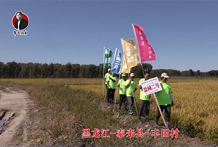 黑龍江-泰來縣-豐田村-01